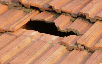 roof repair Glan Rhyd, Powys
