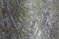 Glan Rhyd fibreglass roof work